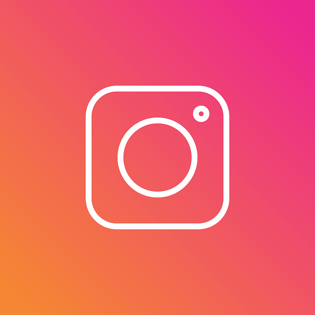 Instagram Icon