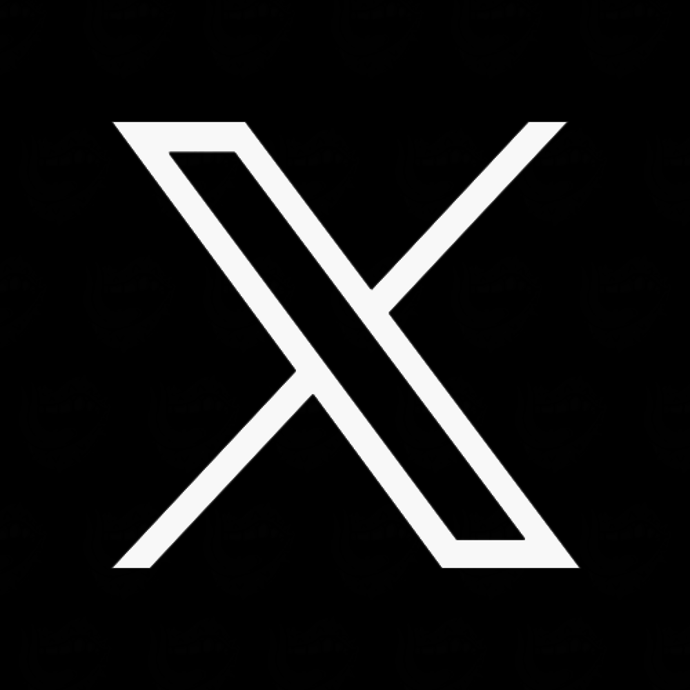 X Icon